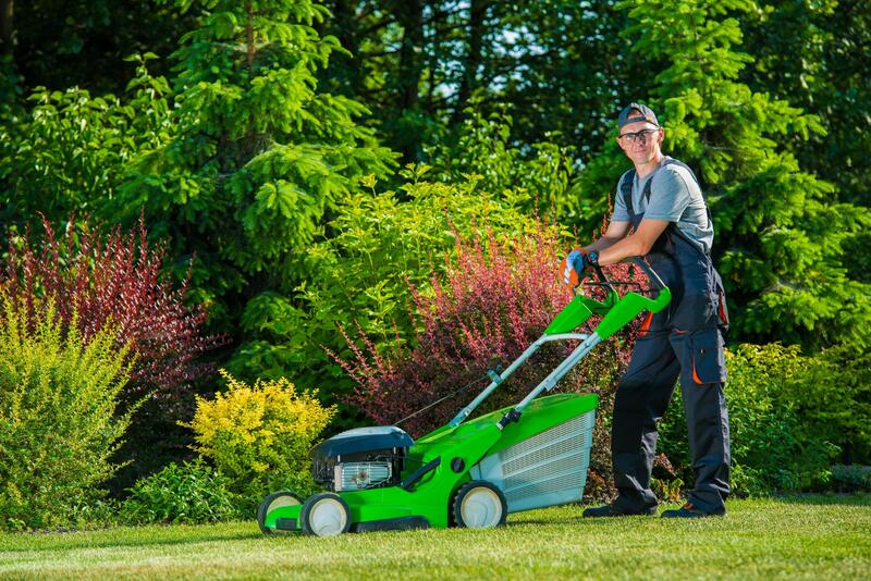 Turlock Landscaper - Lawn Maintenance