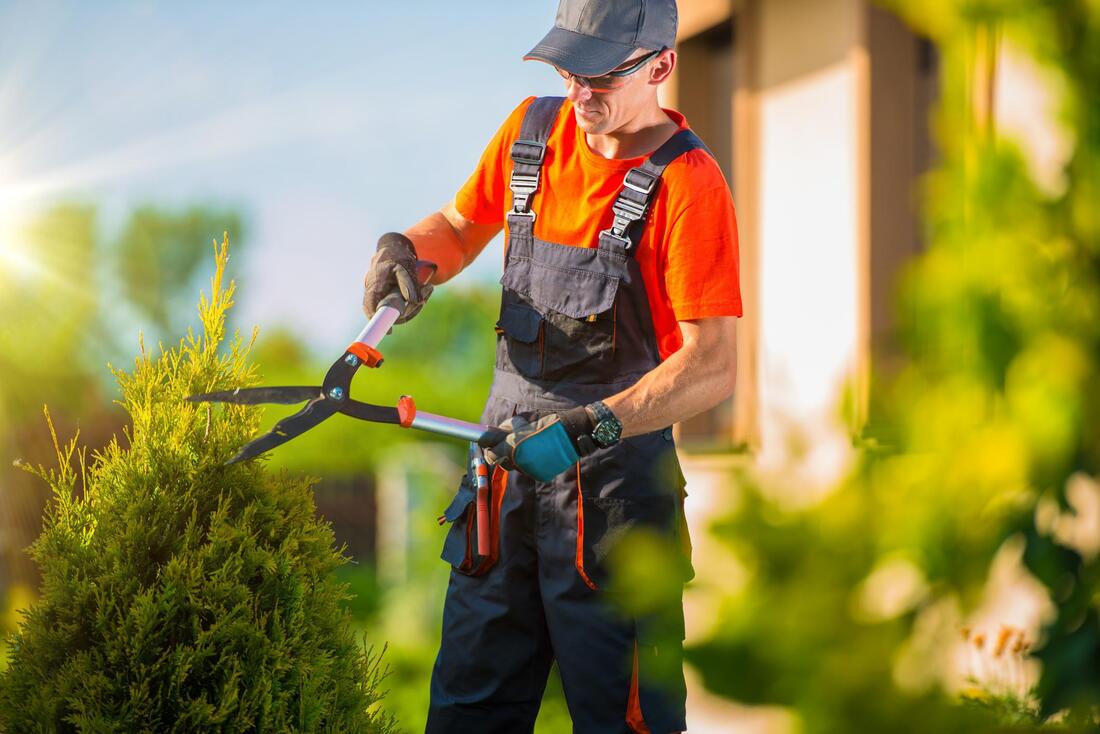 Turlock Landscaping Services - Turlock Landscaping | Turlock's Best  Landscapers | Call Today!
